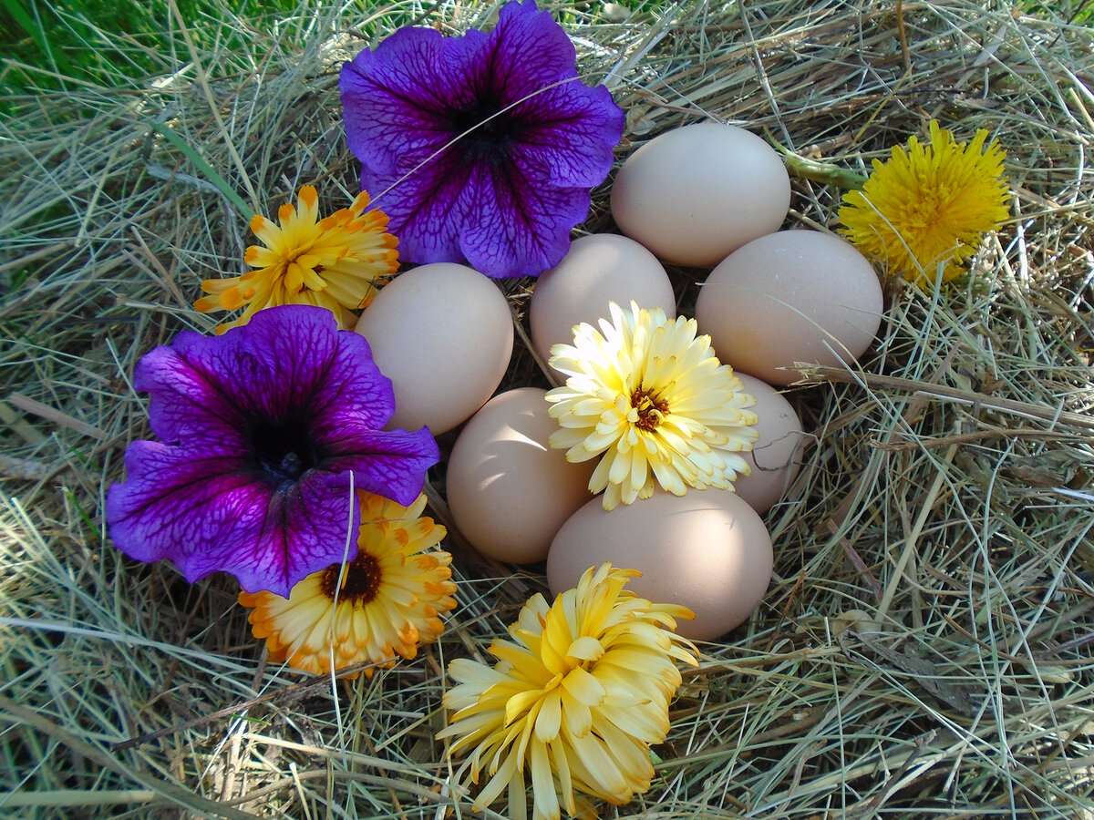 Фото из личного архива