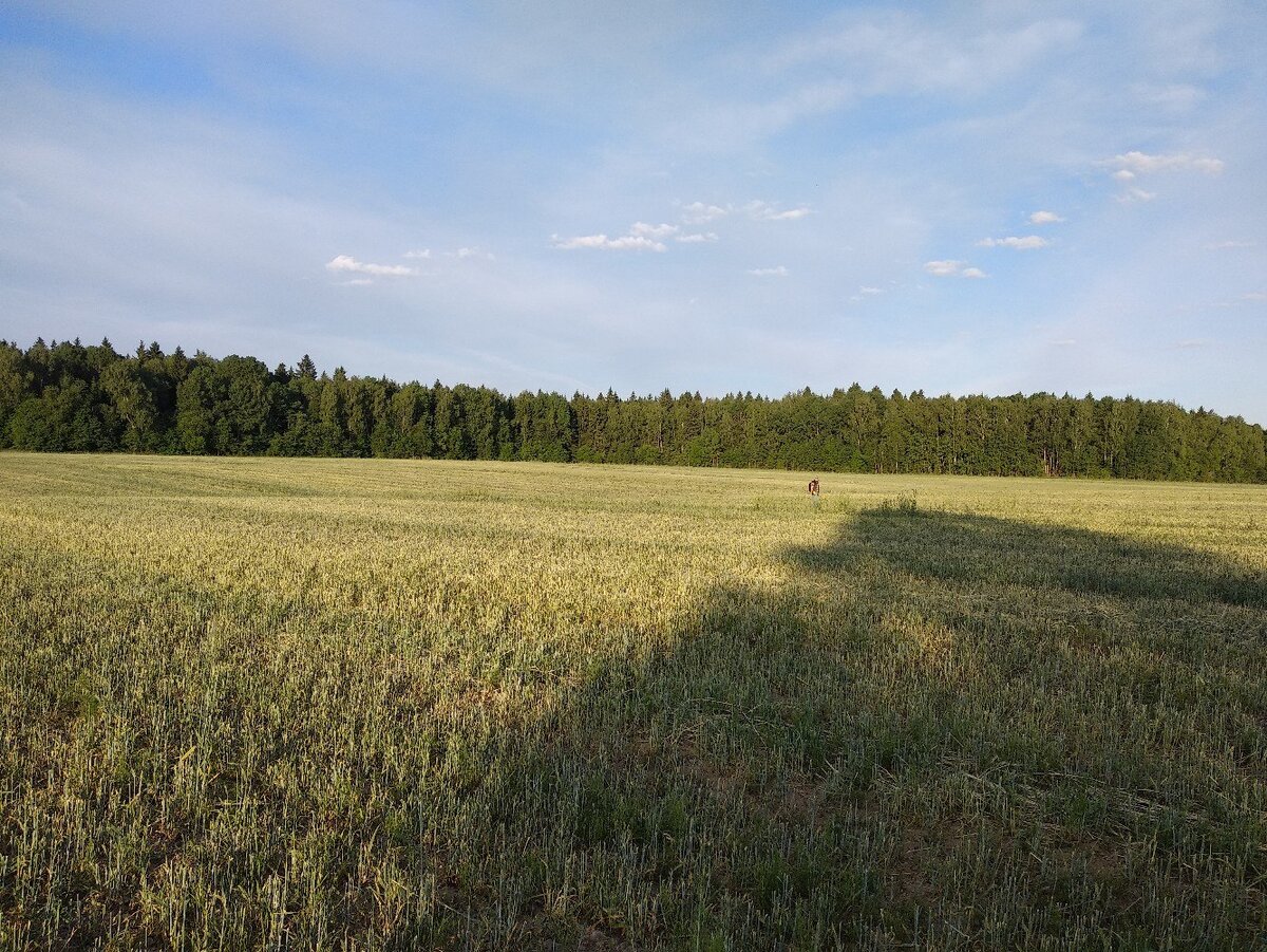 Фото из личного архива