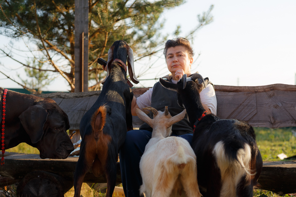 Собака и козы хотят баранки из кармана в качестве гонорара, а козёл согласен только на смартфон!