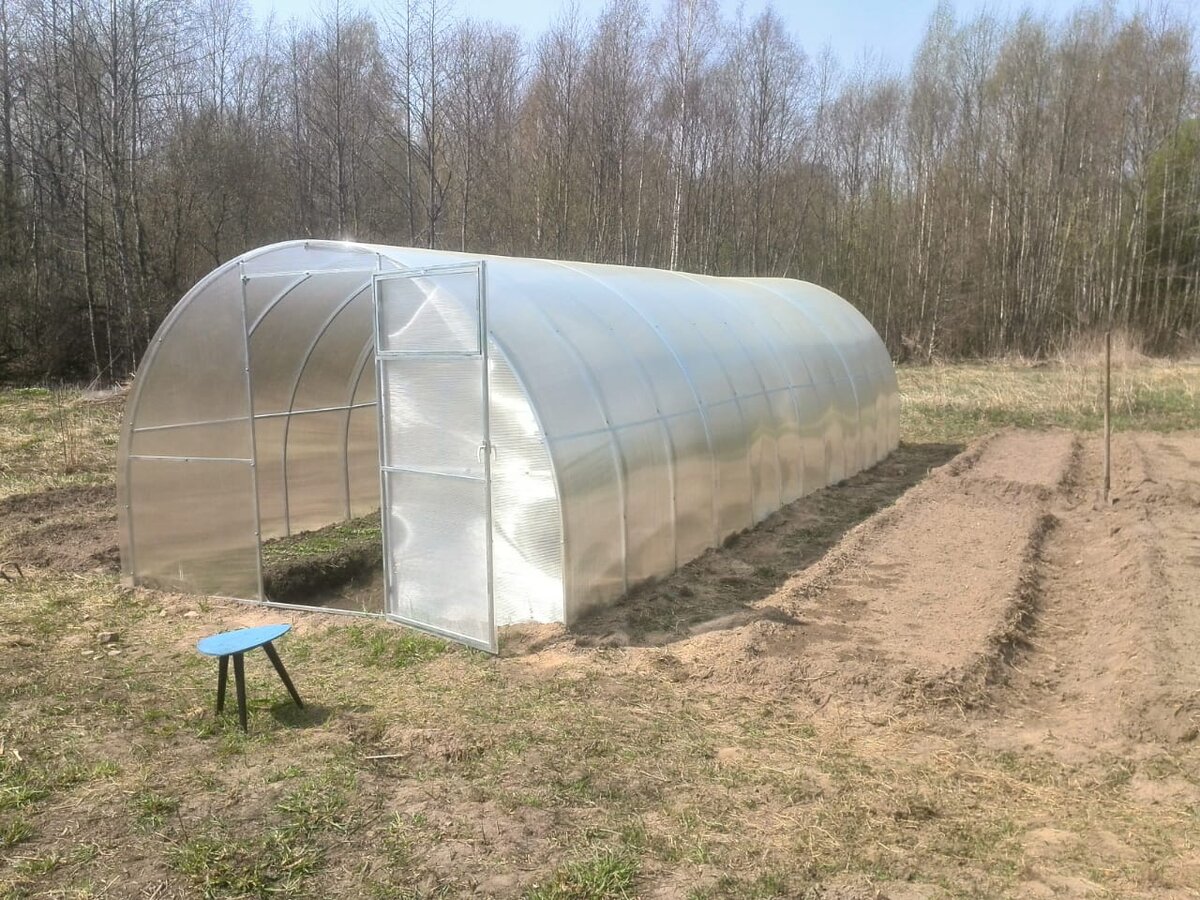 Вот такая теплице у меня на огороде.