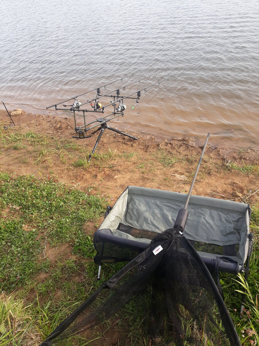 В галерее- листай все фото