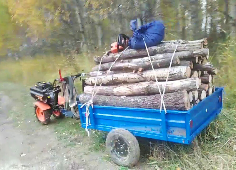 Что перевозили по территории челябинской самарской саратовской. Мотоблок Нева прицеп дров. Прицеп для перевозки дров. Мотоблок для перевозки бревен. Прицеп на мотоблок для перевозки бревна.