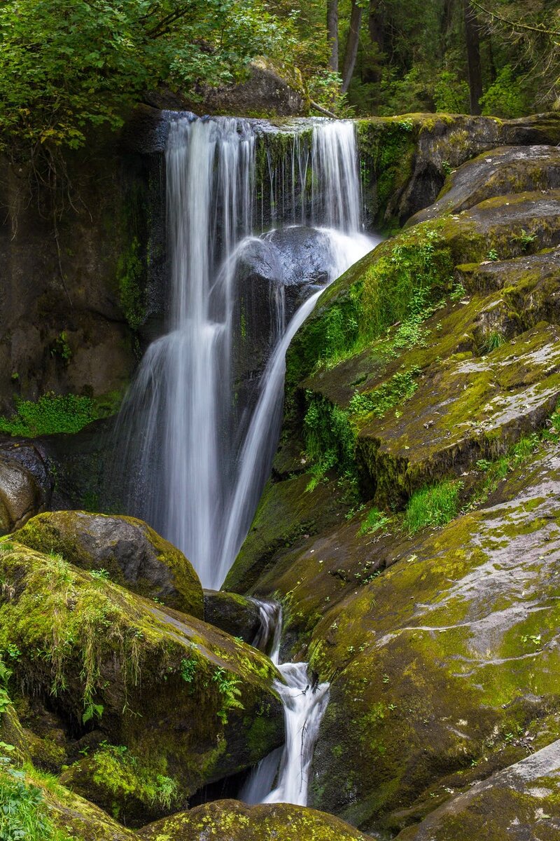 Фото автора Pixabay : Pexels 
