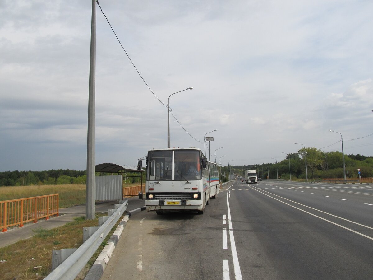 Городской автобус "Икарус" (гармошка). Фото Лукьянова А.
