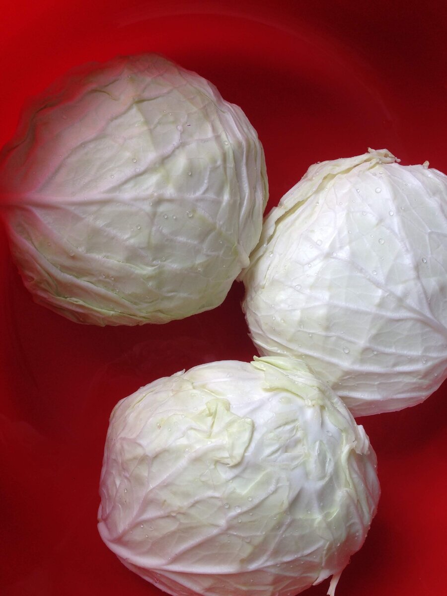 Выбирайте белые, плотные кочаны