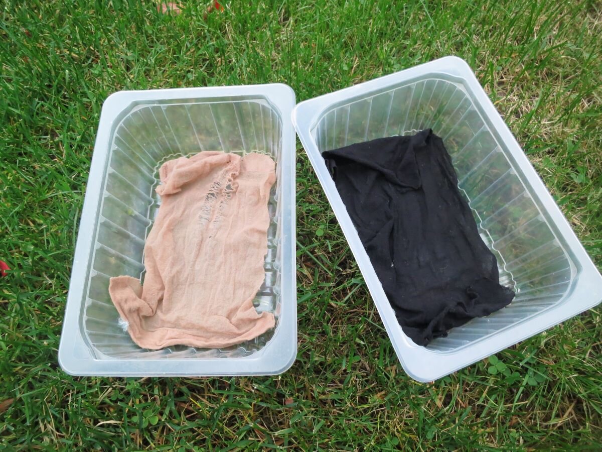 Колготки застилаем на дно, чтобы земля не просыпалась. Фото автора