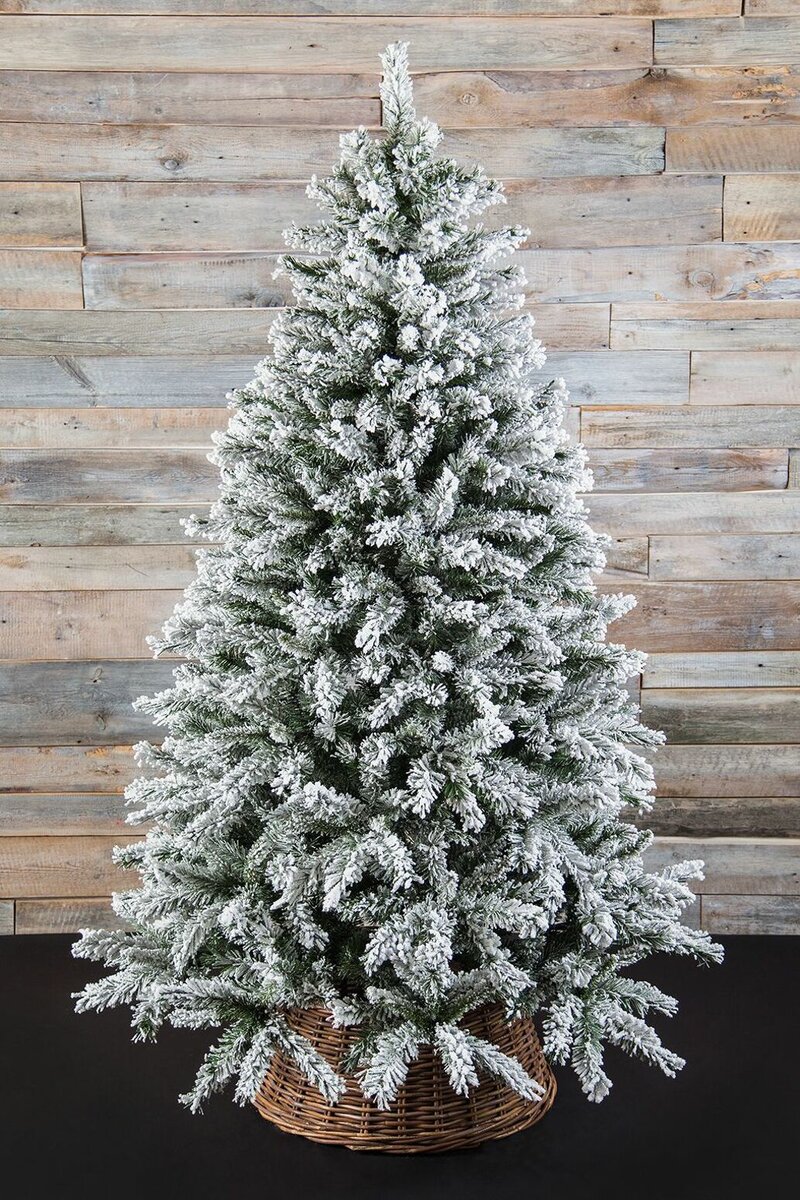 Black Box Ель заснеженная Атлантида