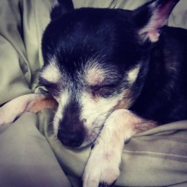 Н аша 15-летняя девчуля-бабуля