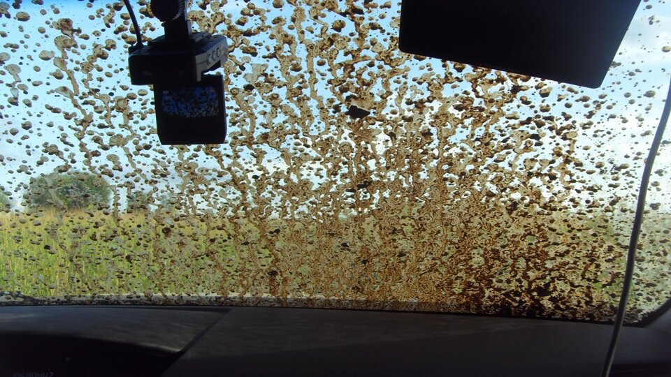 С чего начать?