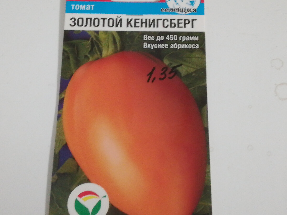 Кенигсберг описание сорта фото отзывы