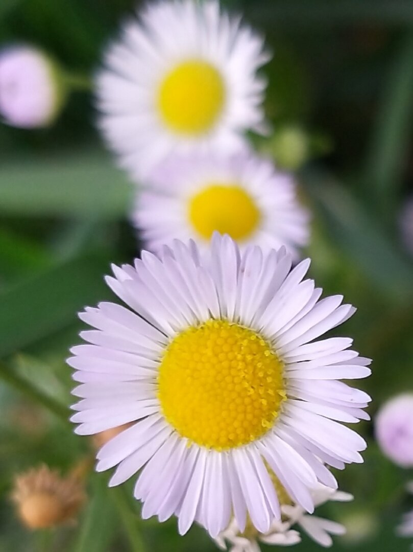                                                                                                 Фото автора статьи