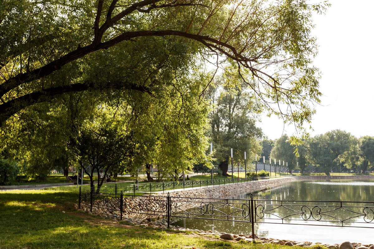 Фотография из открытых источников.