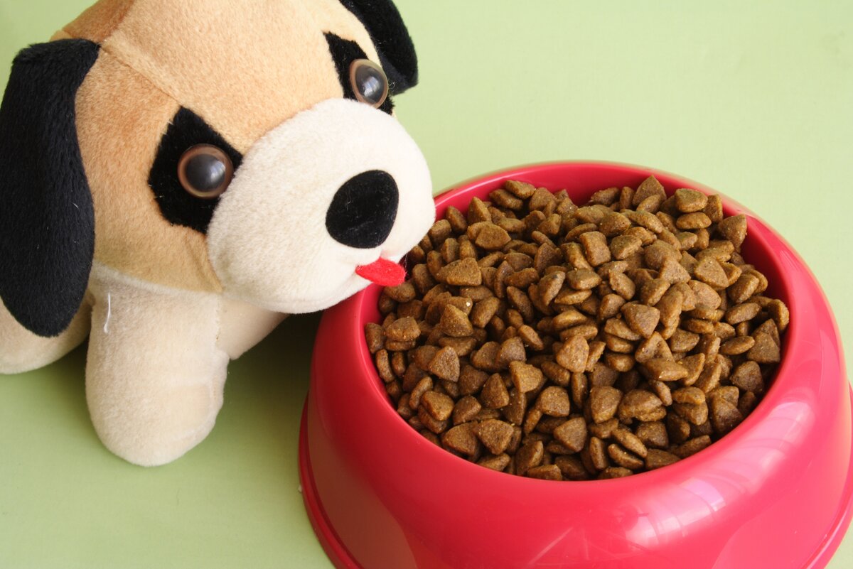 Источник; dreamstime.com