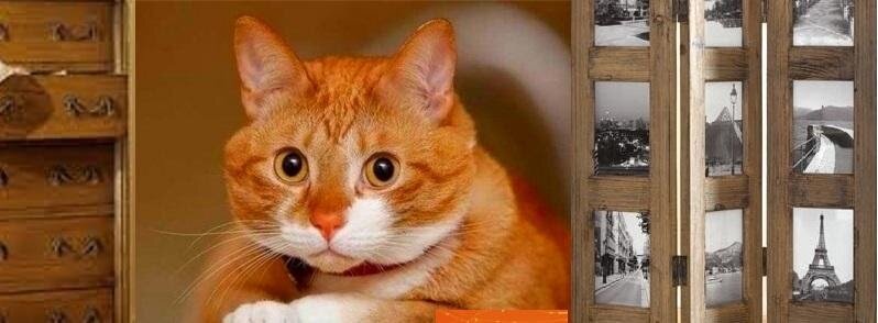 Тимофей оценивал, ровно ли подшит подол 