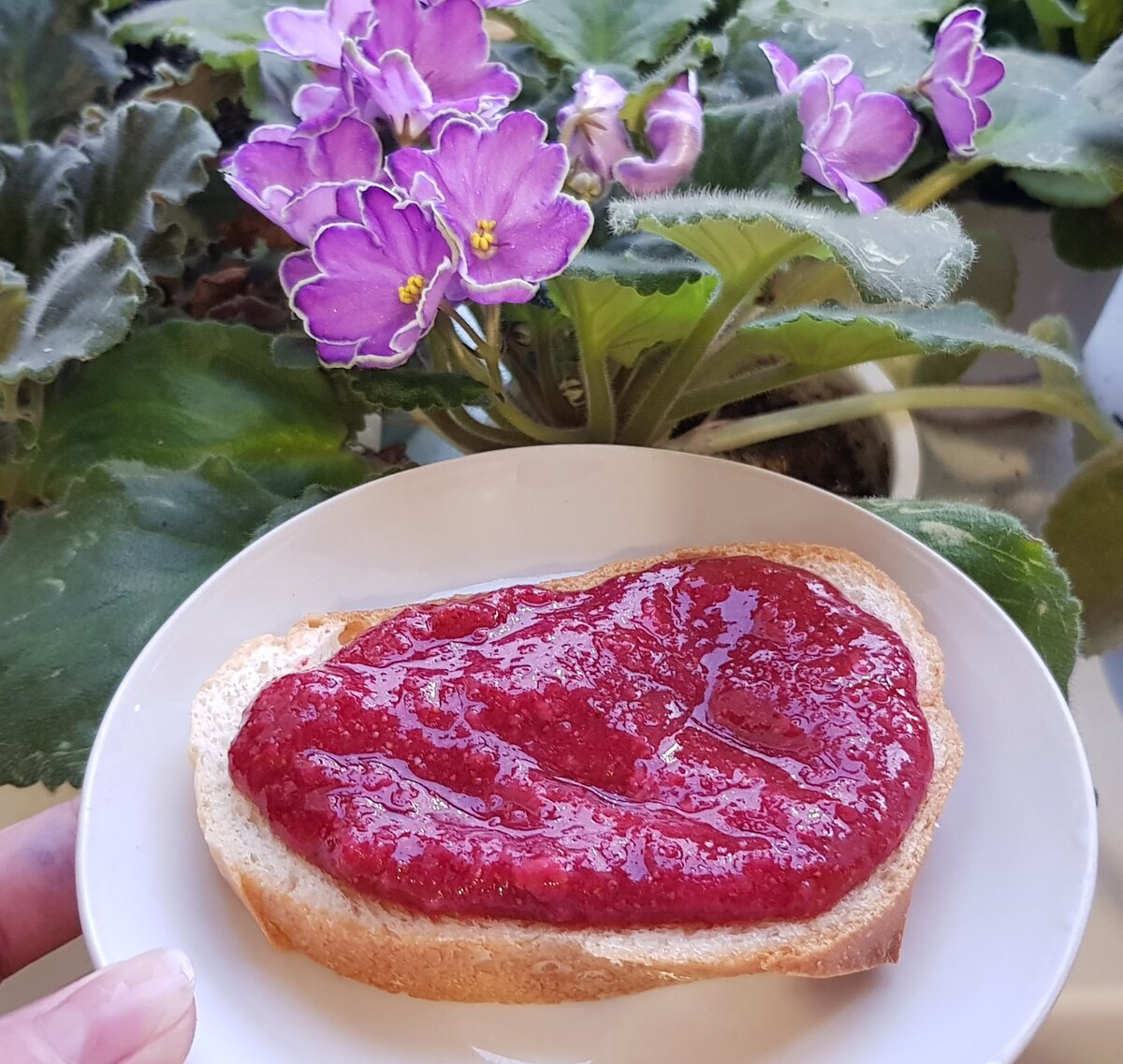 Чай попью с булкой и вареньем, очень вкусно. И цветочками похвастаюсь.