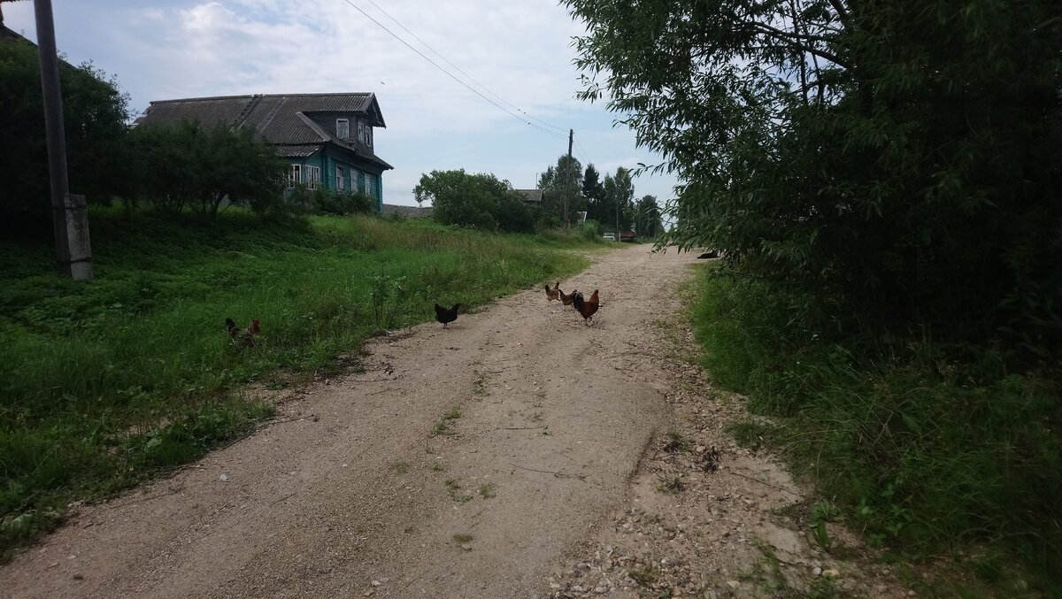 Фото: Зеленоградская таксистка