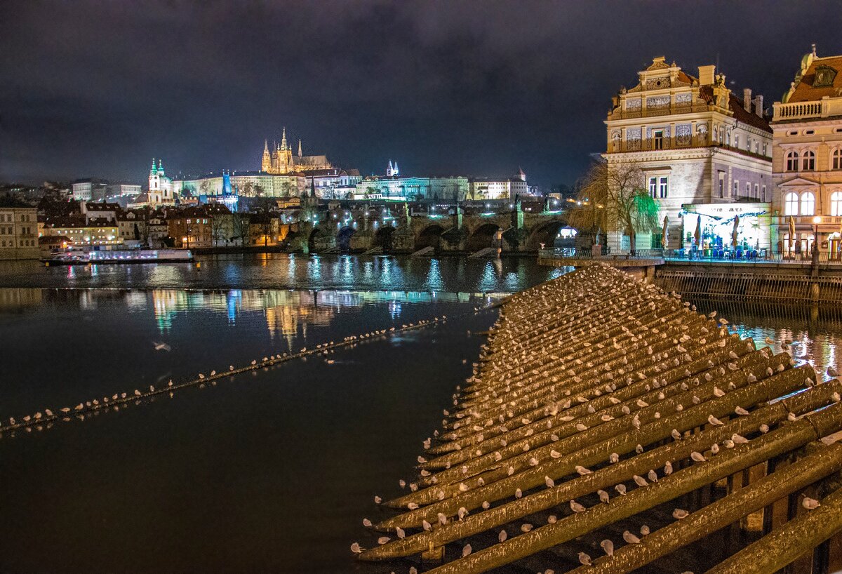 Собственное фото