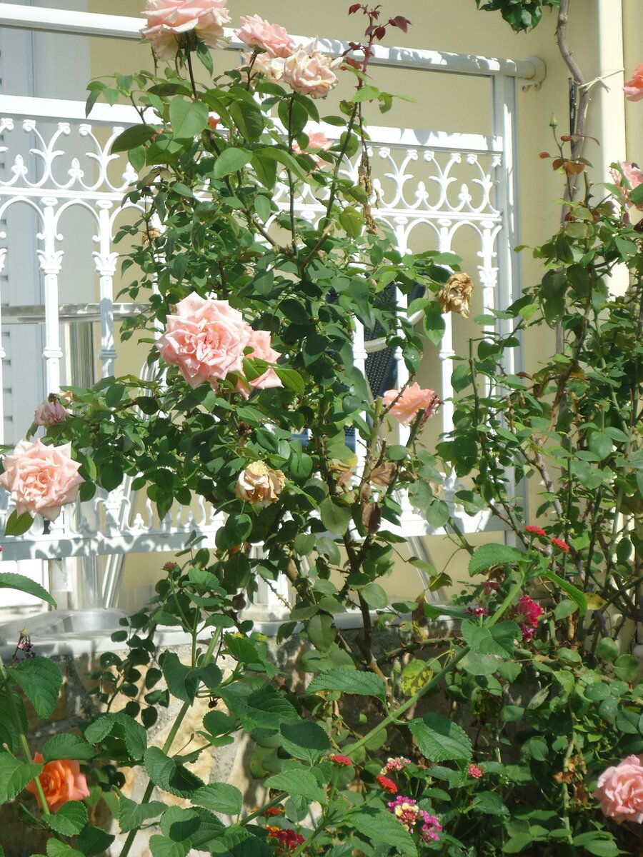 фото из личного архива