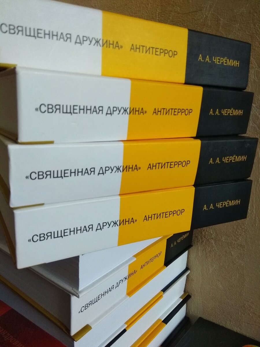 На фото книга "Священная Дружина. Антитеррор", автор историк, писатель, профессор Черёмин А.А. 