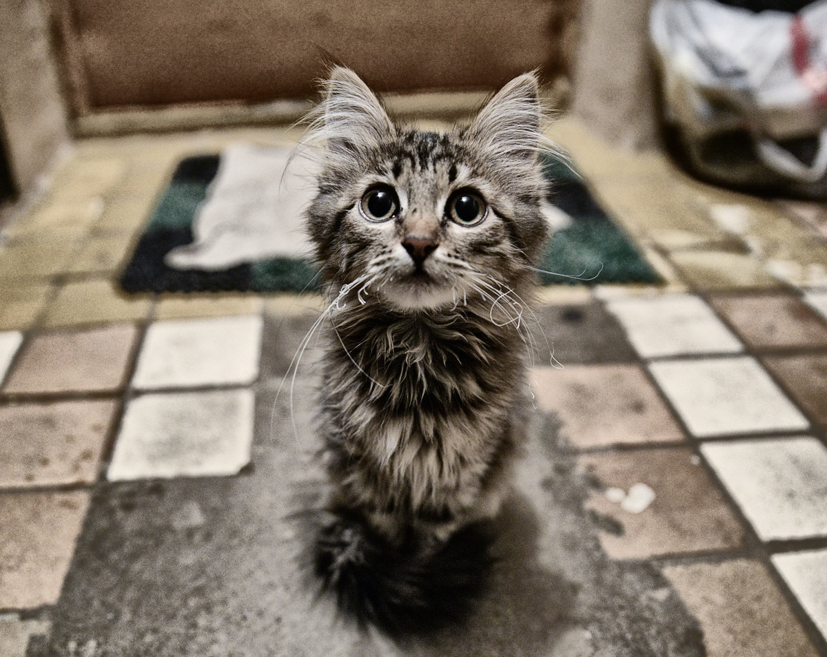 фото из открытых источников