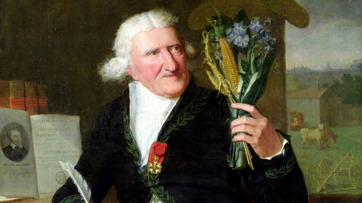 Рыцарь ордена Картошки