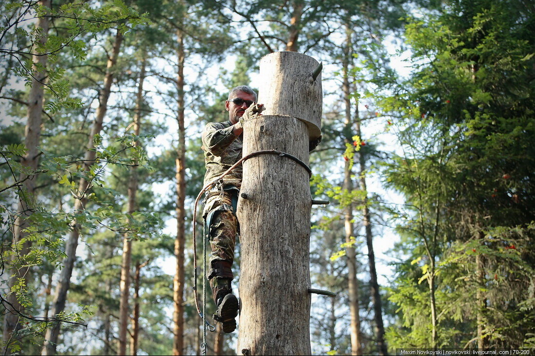 Можно ли срубить деревья на своем участке