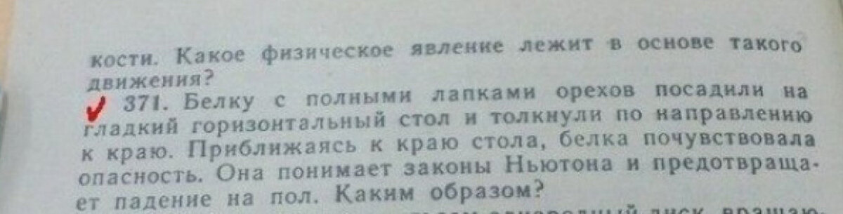 Белку с лапками полными орехами посадили на гладкий горизонтальный стол и толкнули вдоль него