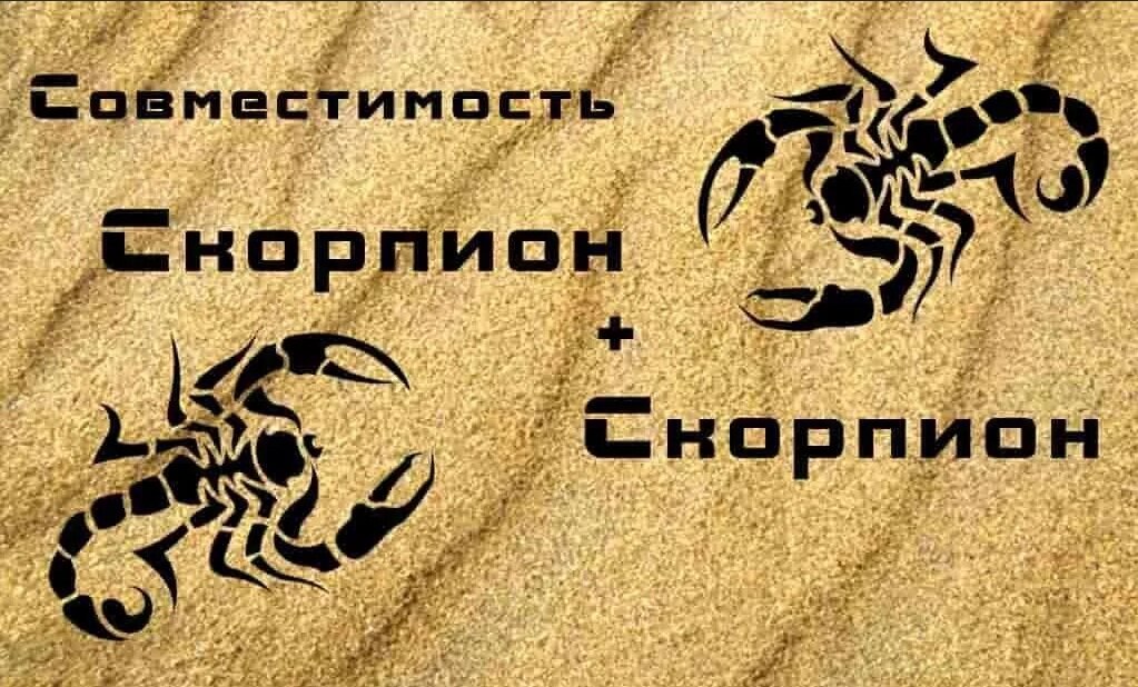 Скорпион и жизнь. Любовь скорпиона. Любимый Скорпион. Любить скорпиона. Скорпион прикольные картинки.