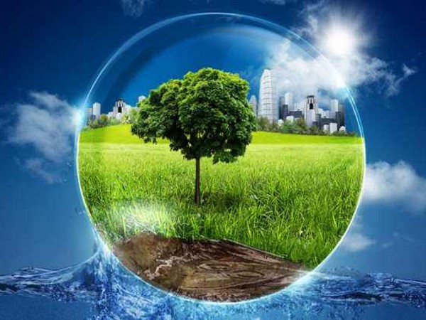 Экология. Источник - https://miro.medium.com/max/600/1*hkIGj6fXetg_50ZUCQJhjg.jpeg