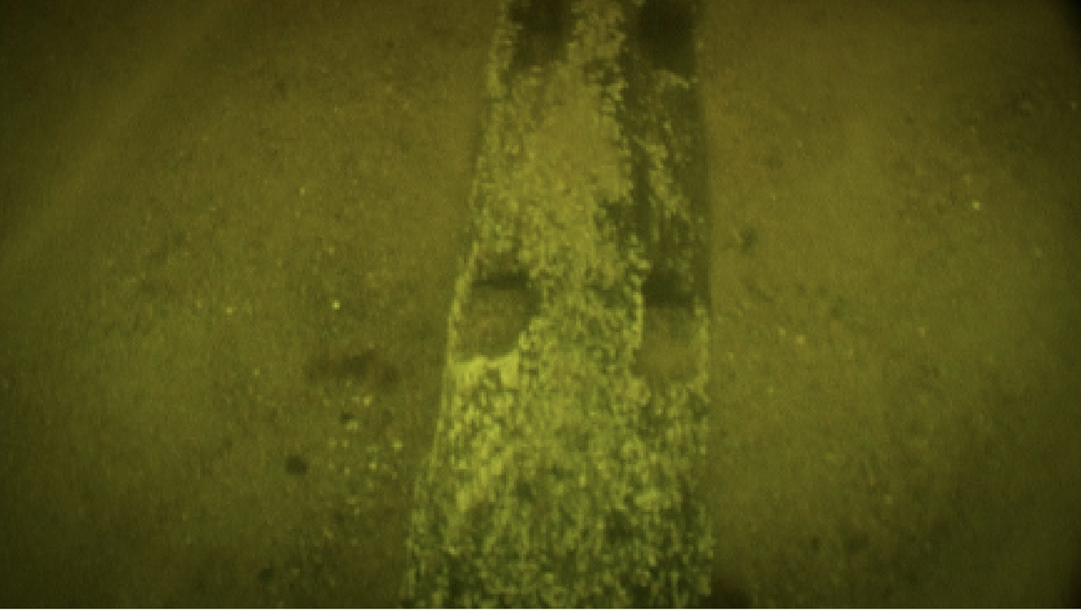 Фото: ЦПИ РГО