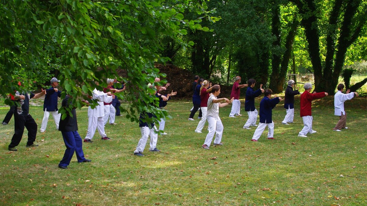 Китайская гимнастика tai chi