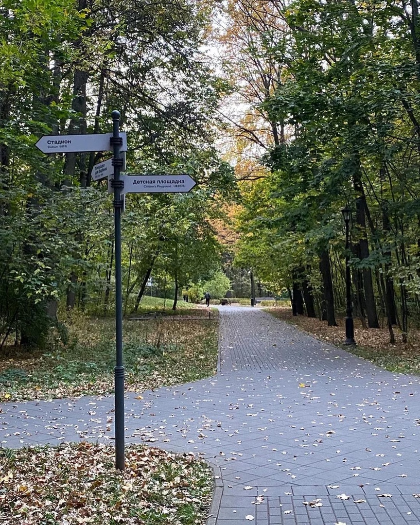 Фото принадлежит автору