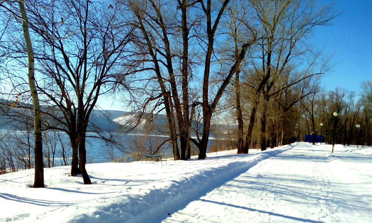 Фото автора. Зимняя прогулка вдоль Волги. 