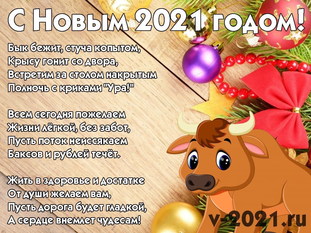 Зоозащитные итоги 2020 года