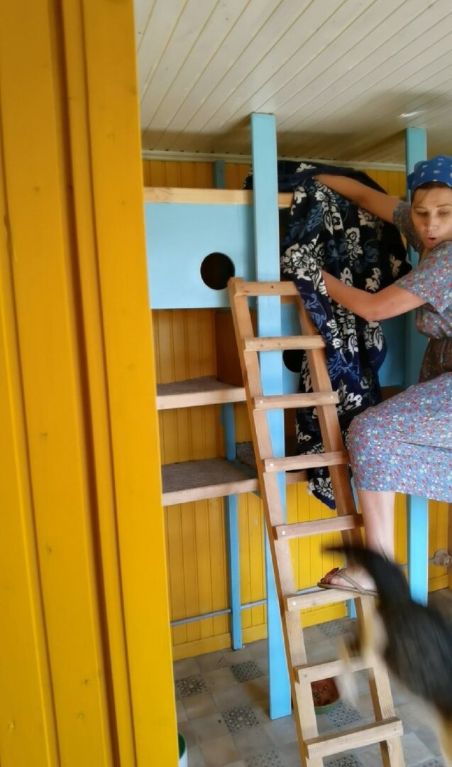 Три. Только хвост в кадре