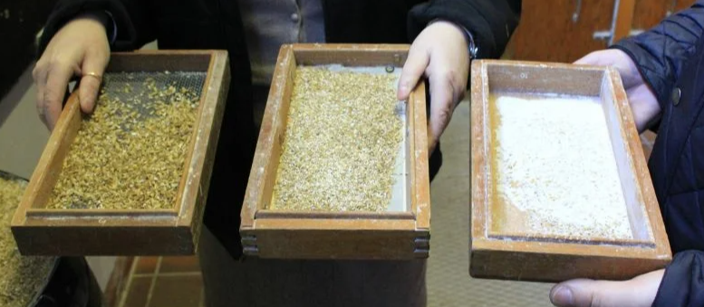 Отличное фото, на котором показана разница в помоле солода: https://rattenfanger78.livejournal.com/2921.html