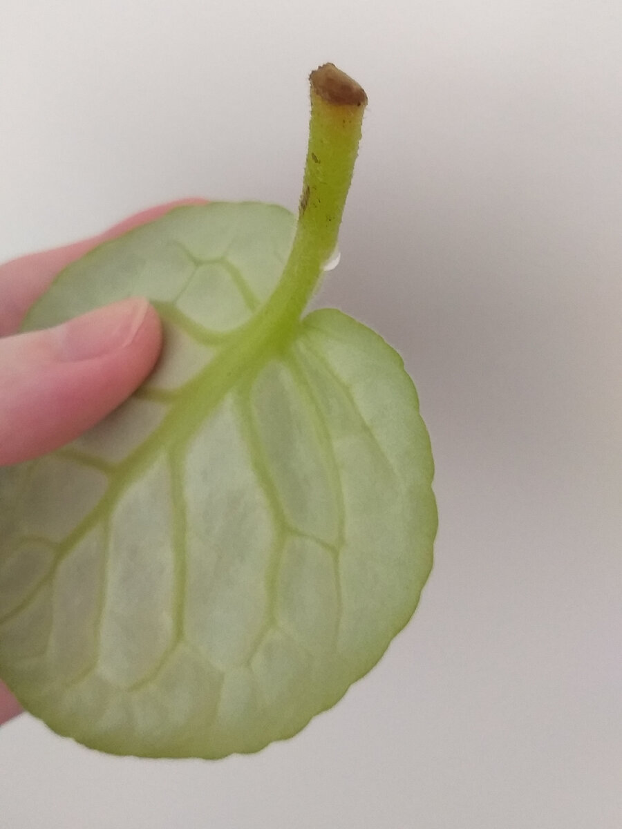 Плохой срез