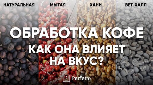 Обработка кофе. Какие бывают и как влияют на вкус кофе? От чего зависит выбор обработки?