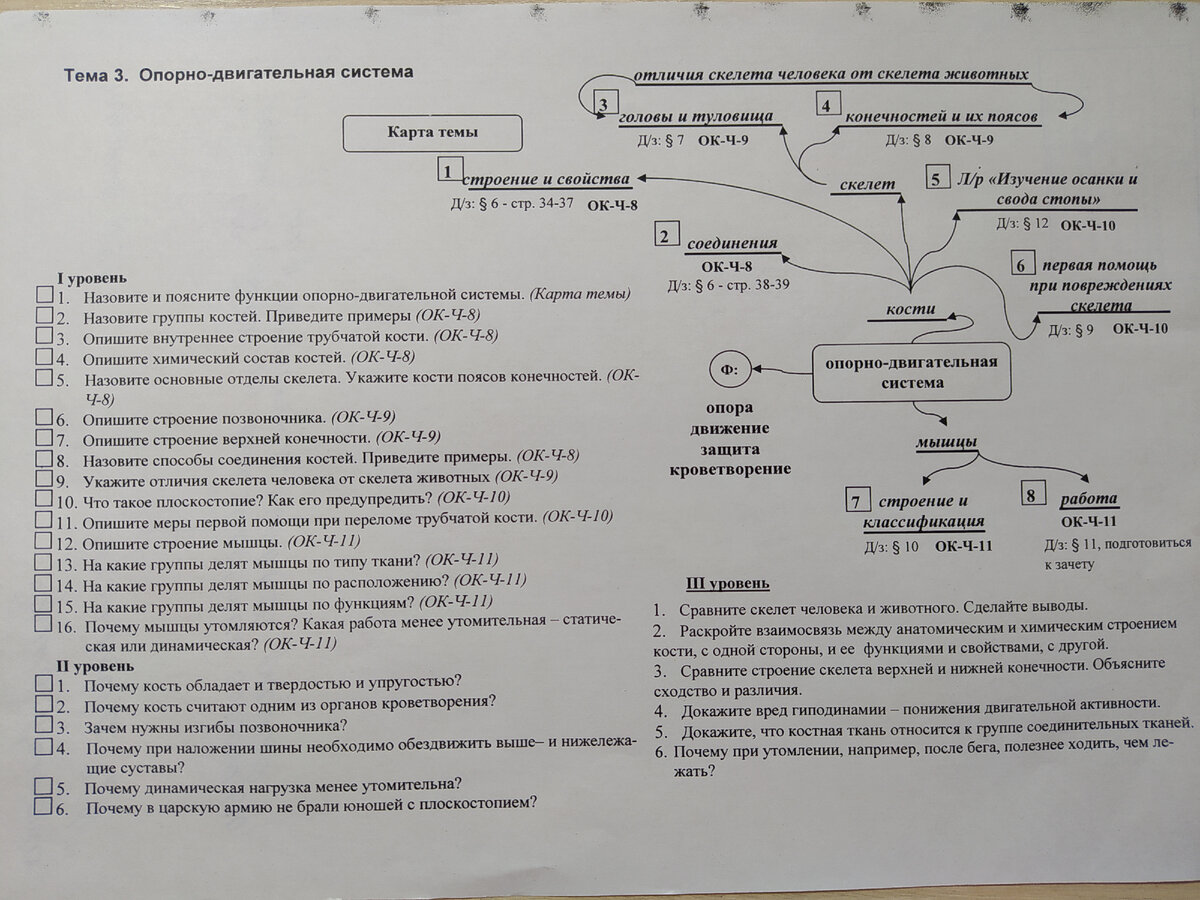 Здесь же, на карте, перечислены функции ОДС - на конспекте этот вопрос показался лишним