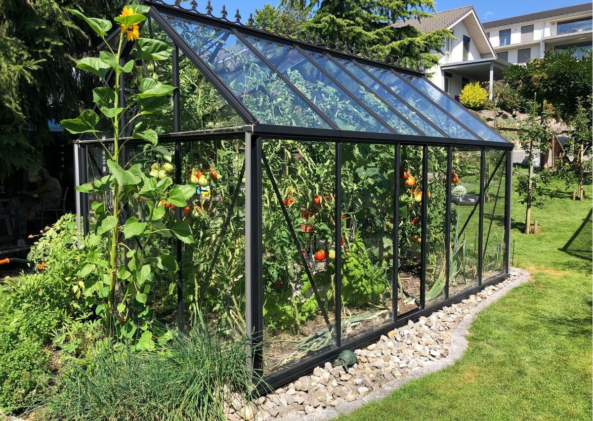 Осенняя дезинфекция теплицы - залог благополучия урожая в следующем году. Фото Canva