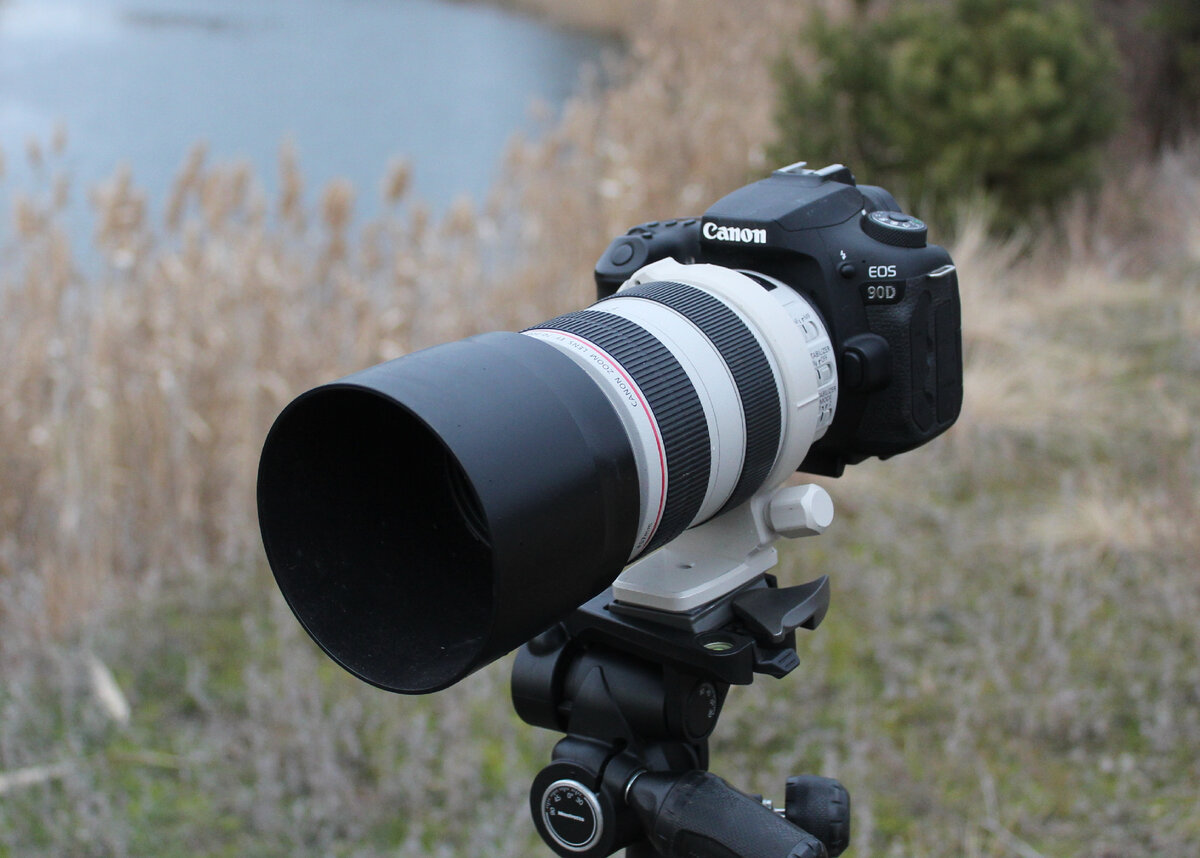 Камера Canon EOS-90D + объектив Canon EF 70-300mm F4.0-5.6 L IS USM (спереди)