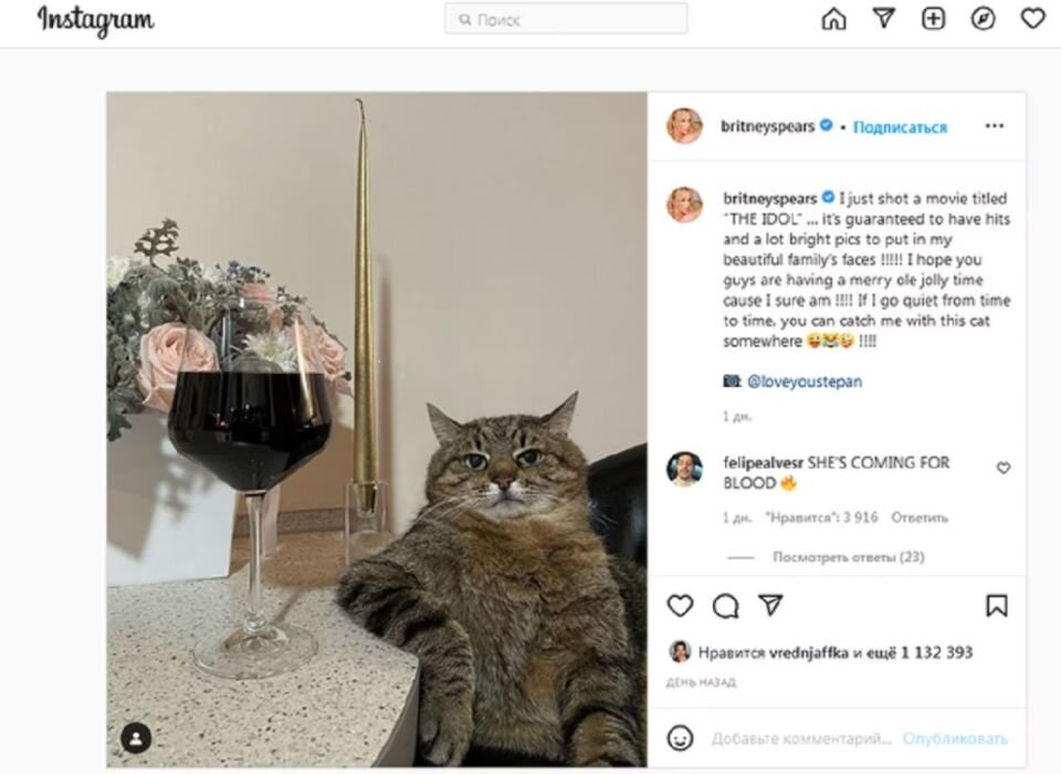 Инстаграм Бритни ломится от лайков коту