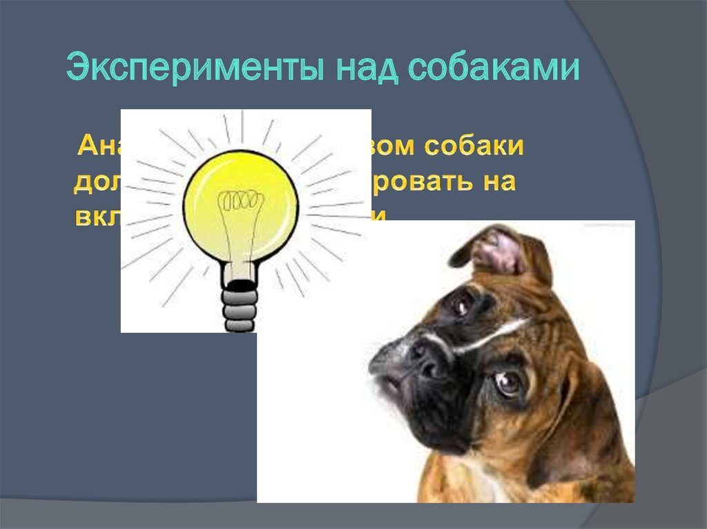 Источник:        https://cf.ppt-online.org/files1/slide/j/jcP8JkKImRN7qpHyQBr1MoF5bGdAvsO6TCulL3gSxi/slide-4.jpg