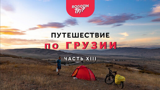 Рогозин трип дзен