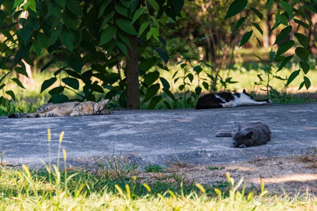 Подготовка к ночному дежурству