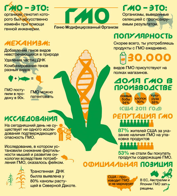 Проект на тему гмо пища будущего или причина будущей катастрофы