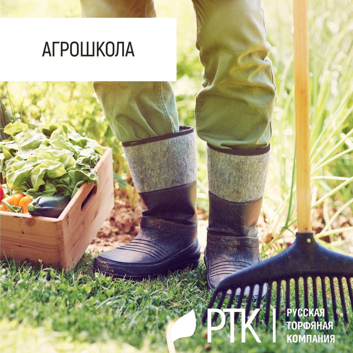   Вот вам приятная и очень полезная новость от Русской Торфяной Компании.
В век цифровых технологий Русская Торфяная Компания старается не отставать от новых веяний. 
Вот и сейчас мы представляем свою Агрошколу! 
Проще некуда! Делаете так: на упаковке грунтов «Торфяная поляна» теперь есть QR-код. Наводите на него смартфон и попадаете на страницу с полным описанием по выращиванию растения, грунт для которого был куплен. 
И там есть вся информация! 
И о самом растении, и об уходе, и о поливе, и о вредителях. Всё, что нужно в одном месте!   
Мы планируем развивать это направление для вашего удобства! И поверьте, там есть чему получиться!
РТК своих не бросает!
Вырастет всё!
#агрошкола #РТК #вырастетвсё #почвогрунты #растениеводство
