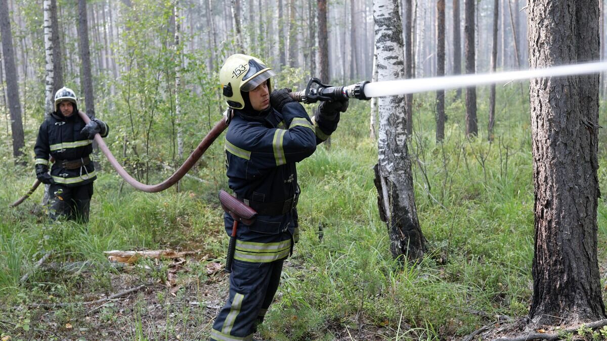    Борьба с лесными пожарами в Нижегородской области© РИА Новости / Анастасия Макарычева
