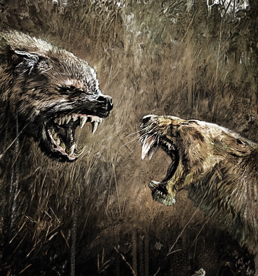 Жена и тёща на кухне.