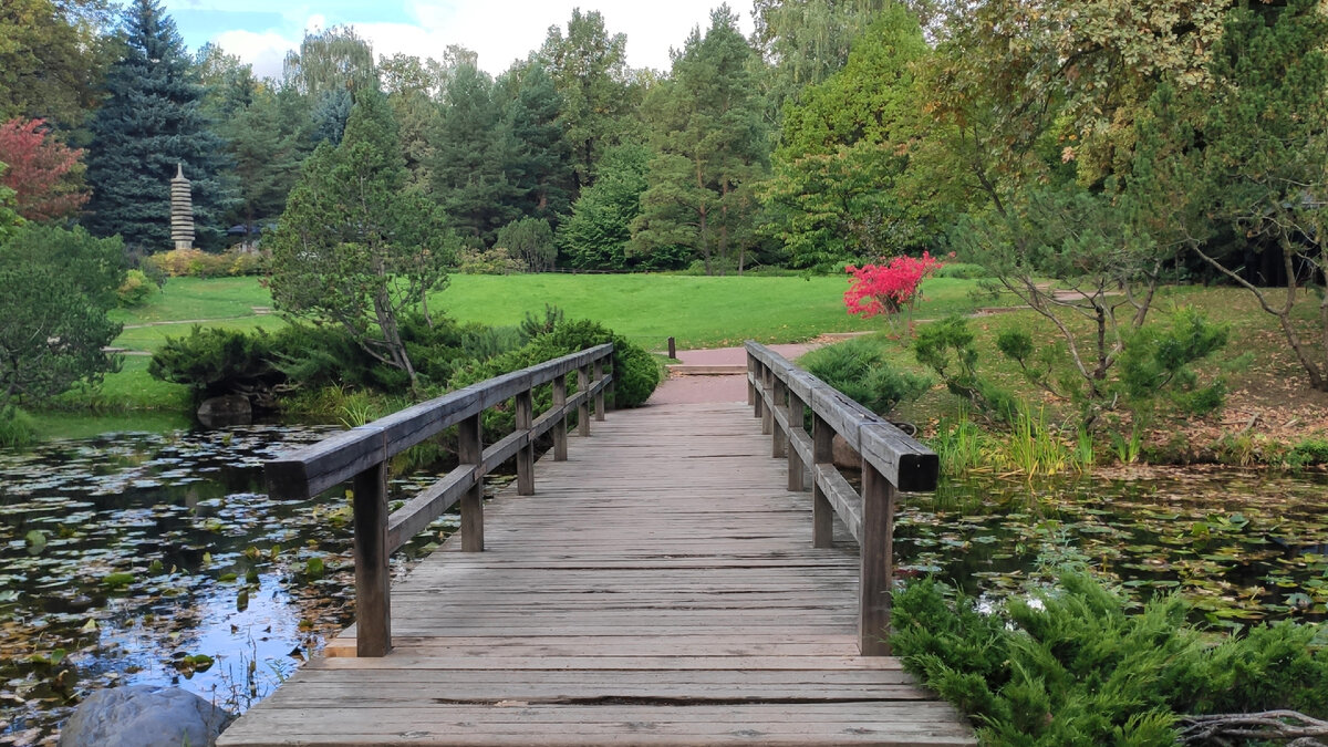  2. Мост неказист, зато сделан японцем. Слава труду! 